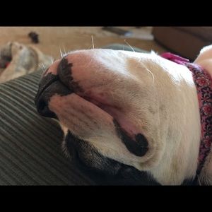 Meet your Posher, Letha